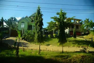 DSC_7700 (Large).JPG